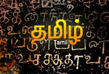 B.Ed. Tamil